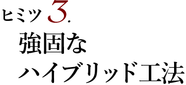 ヒミツ3 強固なはブリット工法