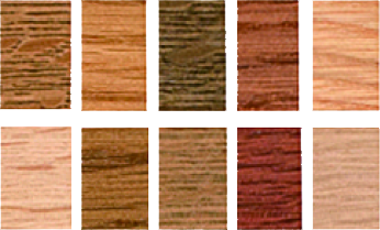 豊富な木の色のイメージ